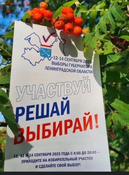 Все на выборы!!! Успей сделать свой выбор!!!