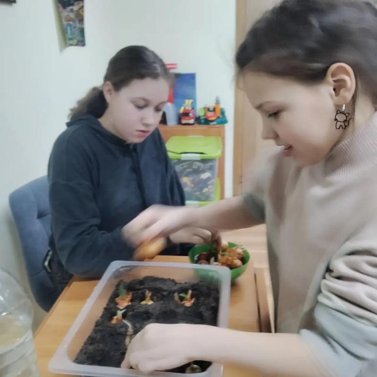 ОГОРОД НА ПОДОКОННИКЕ 