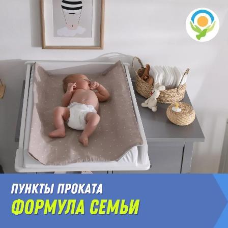 В Ленинградской области доступны пункты проката детского инвентаря «Формула семьи»